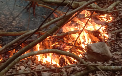 সুন্দরবনে ভয়াবহ অগ্নিকাণ্ড, আগুন নিয়ন্ত্রণে ফায়ার সার্ভিসের কাজ চলছে