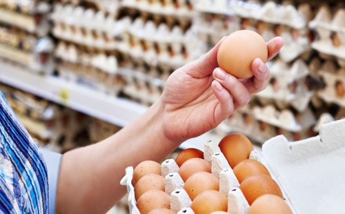 যুক্তরাষ্ট্রে ডিমের দাম বৃদ্ধি: বার্ড ফ্লু ভাইরাসের কারণে সংকট