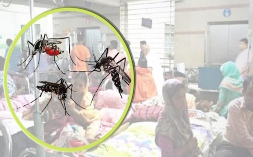 বরগুনায় ডেঙ্গুর উচ্চ সংক্রমণ: একদিনে সর্বোচ্চ ৩৯৪ জন আক্রান্ত