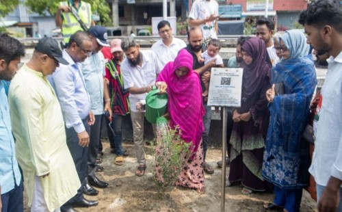 রাজশাহীতে চার শহীদকে স্মরণে চারটি জয়তুন বৃক্ষরোপণ | জুলাই অভ্যুত্থান 2025