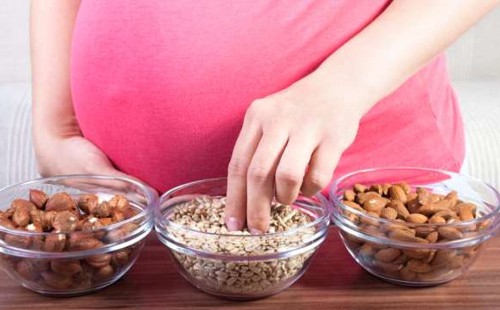 গর্ভাবস্থায় বাদাম ও বীজ: মায়ের খাদ্য নয়, সন্তানের ভবিষ্যতের বিনিয়োগ
