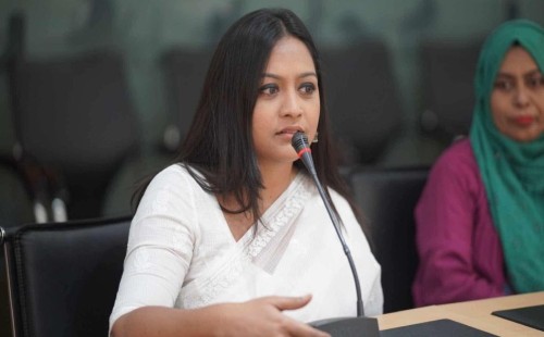 নিউইয়র্কে আখতারকে ডিম নিক্ষেপ, তাসনিম জারাকে গালাগালি: সরকারের দায় দাবি এনসিপির