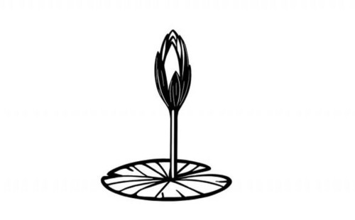 এনসিপি’র শাপলা কলি প্রতীকের স্কেচ চূড়ান্ত করল নির্বাচন কমিশন