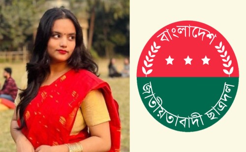এআই প্রযুক্তিতে বিকৃত ছবি প্রচার: ৭ ফেসবুক পেজের বিরুদ্ধে ছাত্রদল নেত্রীর মামলা