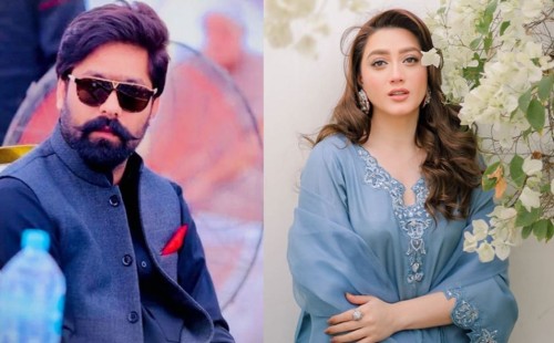 পাকিস্তানি মডেল মোমিনা ইকবালকে সাইবার হয়রানি: পিএমএল-এন নেতার বিরুদ্ধে মামলা