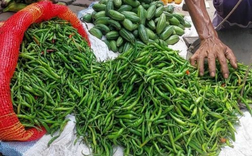 ভোমরা দিয়ে ১০০ টন ভারতীয় কাঁচা মরিচ আমদানির খবর