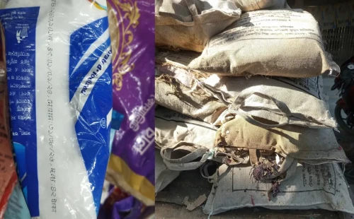 ত্রাণের খাবারের মেয়াদ শেষ, প্যাকেট খুলতেই বের হয় ইঁদুর!