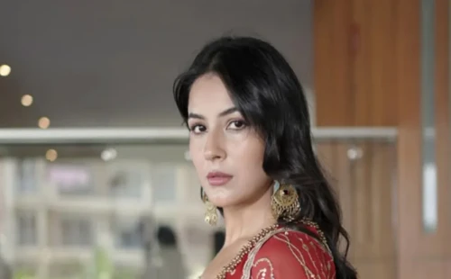 সহ-অভিনেতা নিরাপত্তাহীনতায় ভুগলে দূরে থাকেন শাহনাজ গিল