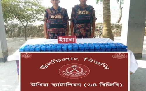 উখিয়ায় মাছের ক্যারেট থেকে ২ লাখ পিস ইয়াবা উদ্ধার, আটক ২