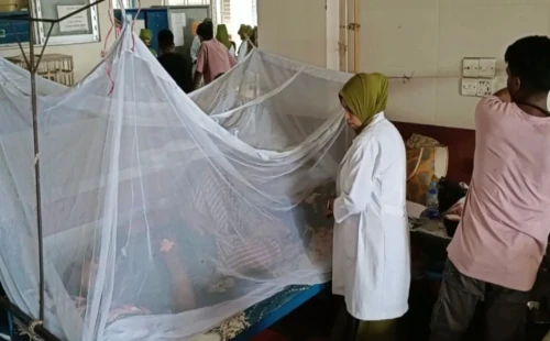 ডেঙ্গুতে আরও ১০ জনের মৃত্যু, হাসপাতালে ভর্তি প্রায় ২ হাজার