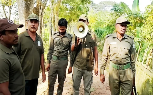 গ্রামে বাঘ ঢুকেছে’— মাইকিং, ড্রোন উড়িয়ে চলছে তল্লাশি